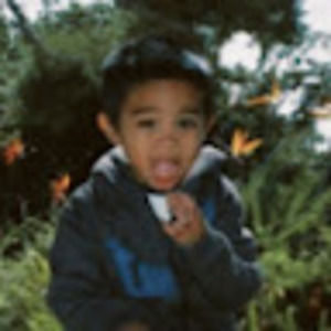 Meet your Posher, Nikko